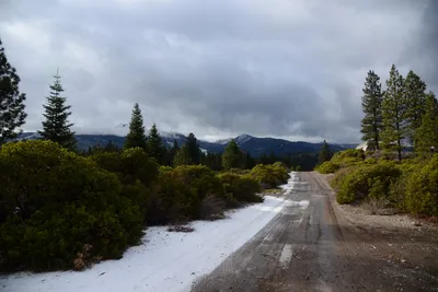 DSC_2914 (Large).JPG